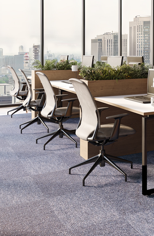 Carpete office